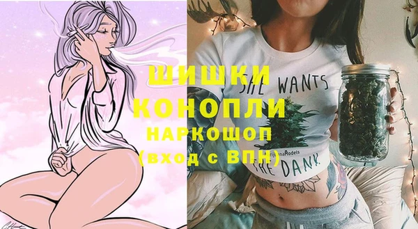 мдпв Верея